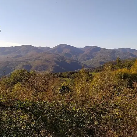 Cocoon Zen Apartment *