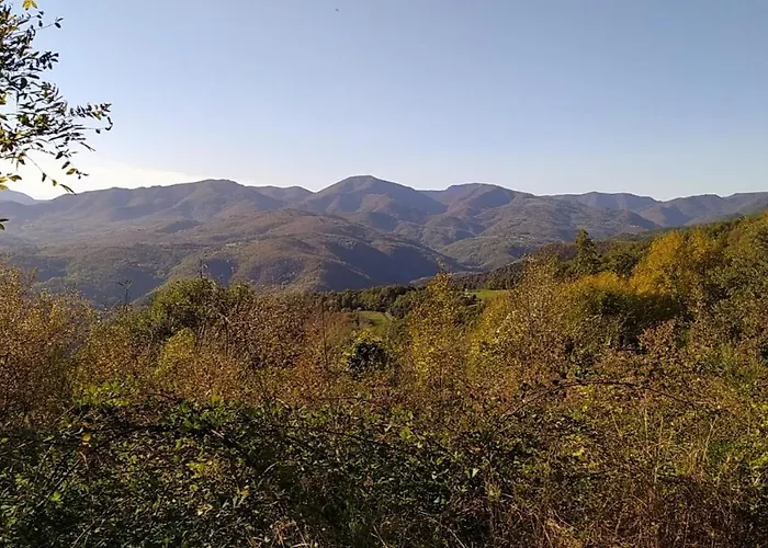 Cocoon Zen Apartamento *